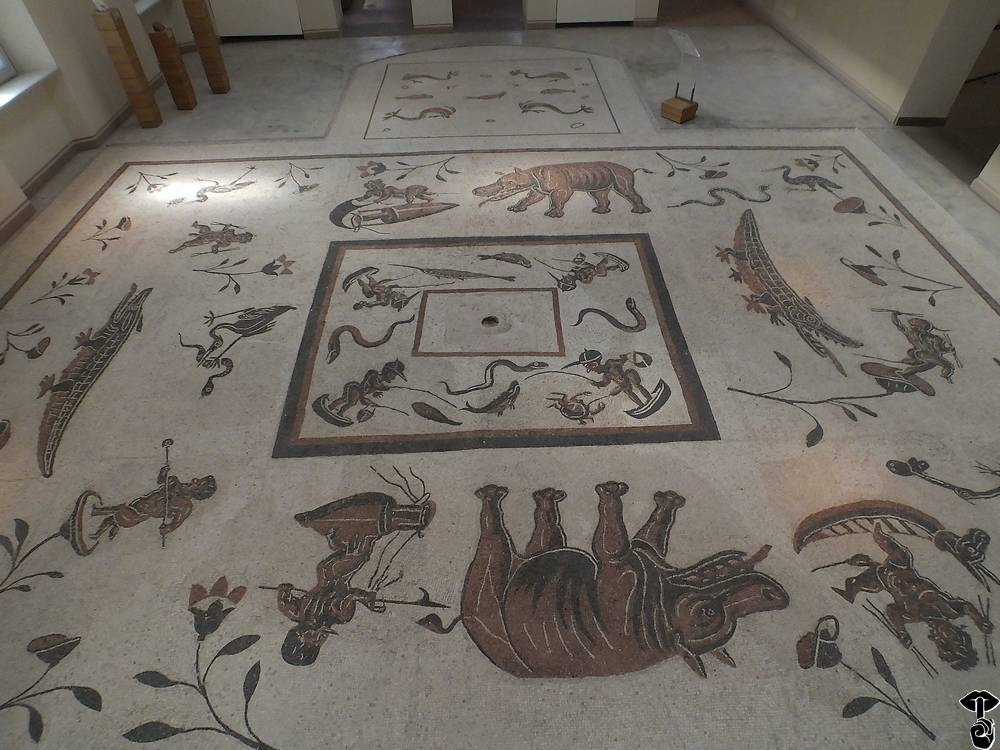 Civic Museum “City of Cannara” - Immagine 2